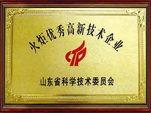 火炬優(yōu)秀高新技術(shù)企業(yè)
